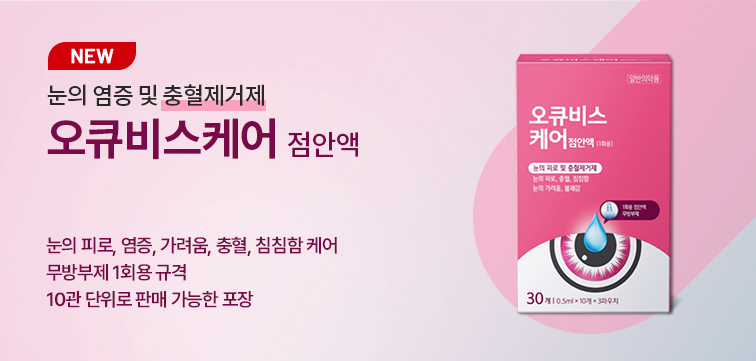 메인 비주얼
